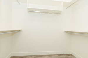 Spacious closet featuring wood finished floors