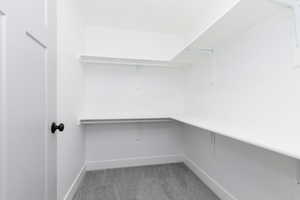 Spacious walk in closet with light carpet