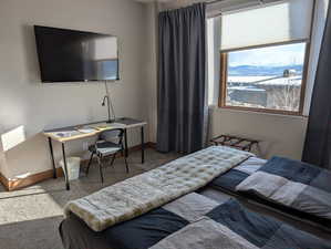 Bedroom featuring carpet flooring and baseboards