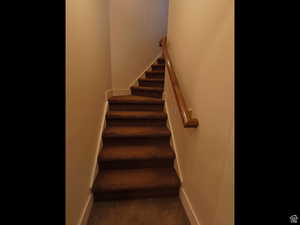 Stairway featuring carpet floors