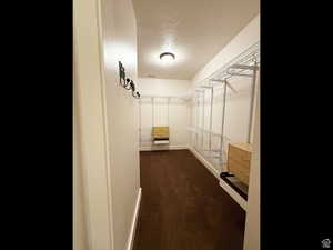 Walk in closet featuring dark carpet