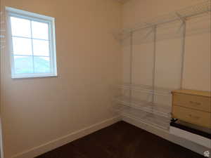 Walk in closet featuring dark colored carpet