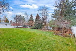 View of fenced spacious backyard