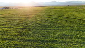 View of yard with a rural view and a mountain view