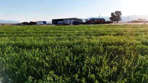 View of yard with a rural view and a mountain view