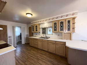 Kitchen featuring glass insert cabinets, light countertops, dark wood-style flooring, open shelves, and a peninsula