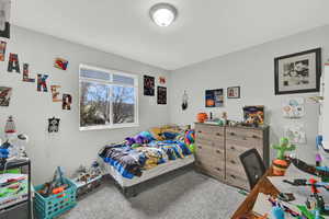 Bedroom featuring carpet