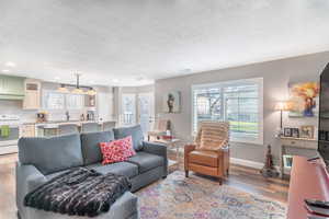 Living room featuring dark wood finished floors and a textured ceiling