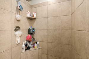Bathroom view of tiled shower
