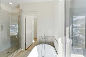 Bathroom with a freestanding bath and a shower stall