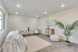 Living area featuring carpet and recessed lighting