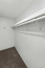 Walk in closet with carpet floors