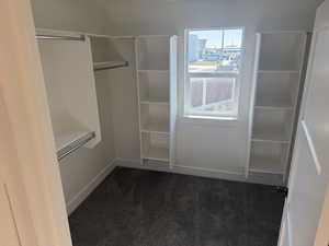 Spacious closet with dark carpet
