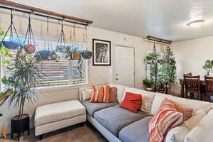 Living area with a textured ceiling and carpet floors