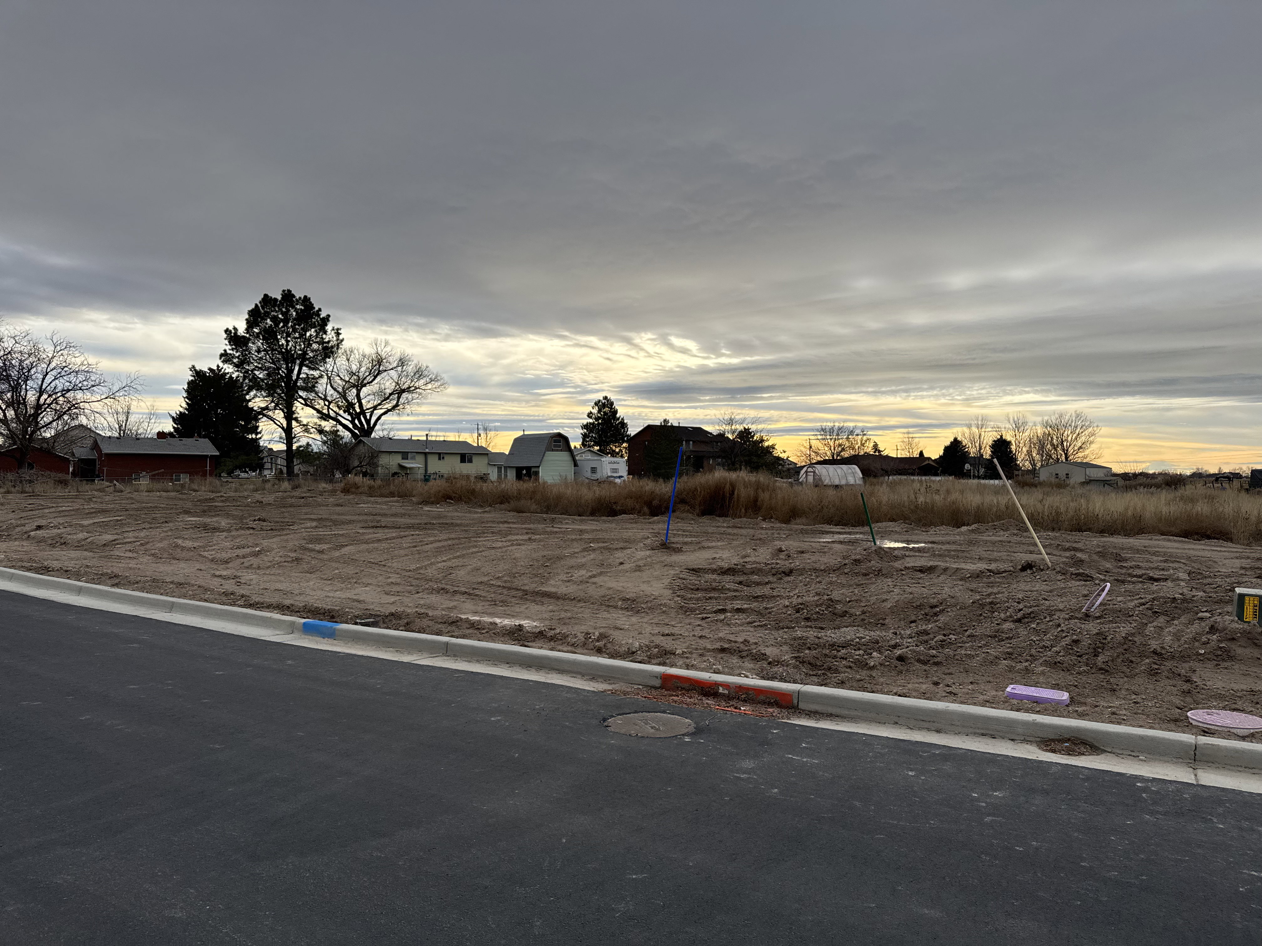 View of yard at dusk