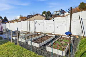 Fenced backyard with a vegetable garden