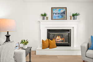 Detailed view of wood finished floors and a glass covered fireplace