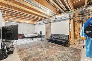 View of unfinished basement