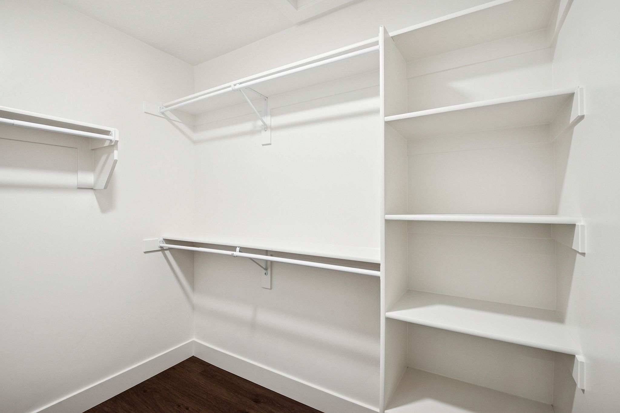 Walk in closet featuring dark wood-style flooring