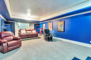 Carpeted cinema with crown molding, a raised ceiling, and a textured ceiling