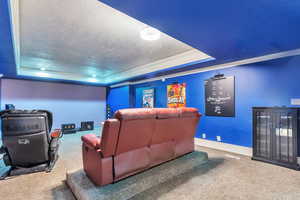 Carpeted cinema with a raised ceiling, crown molding, and a textured ceiling