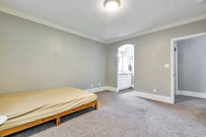 Bedroom with carpet floors, ornamental molding, arched walkways, and ensuite bathroom