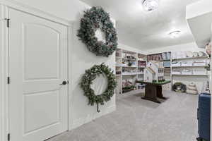 View of carpeted office space