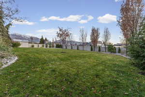 View of yard featuring a mountain view