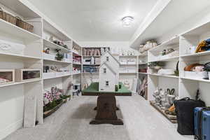 Spacious closet featuring light colored carpet