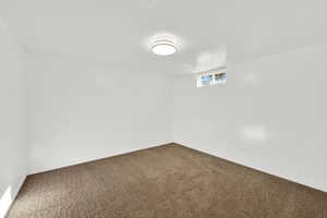 1st basement bedroom with carpet flooring and large closet