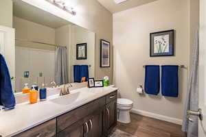 Full bathroom featuring vanity, dark wood-type flooring, and a shower with curtain