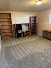 Unfurnished living room with a textured ceiling and light colored carpet