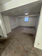 Below grade area featuring carpet floors and a textured ceiling