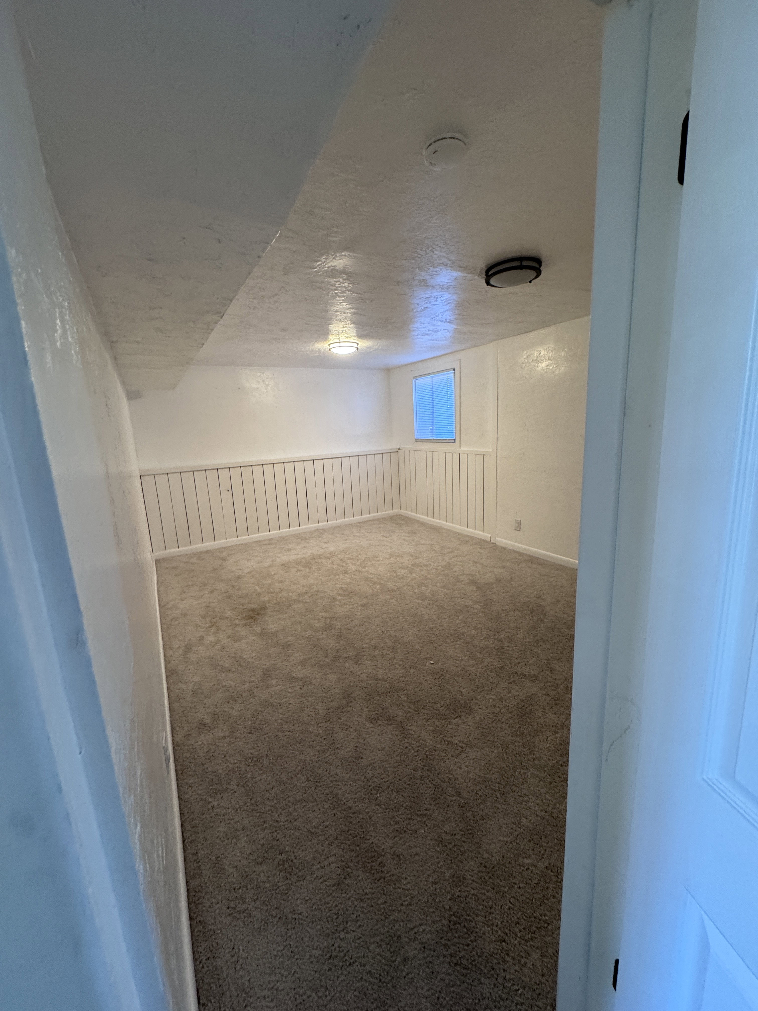 Basement with carpet flooring, wainscoting, and a textured ceiling