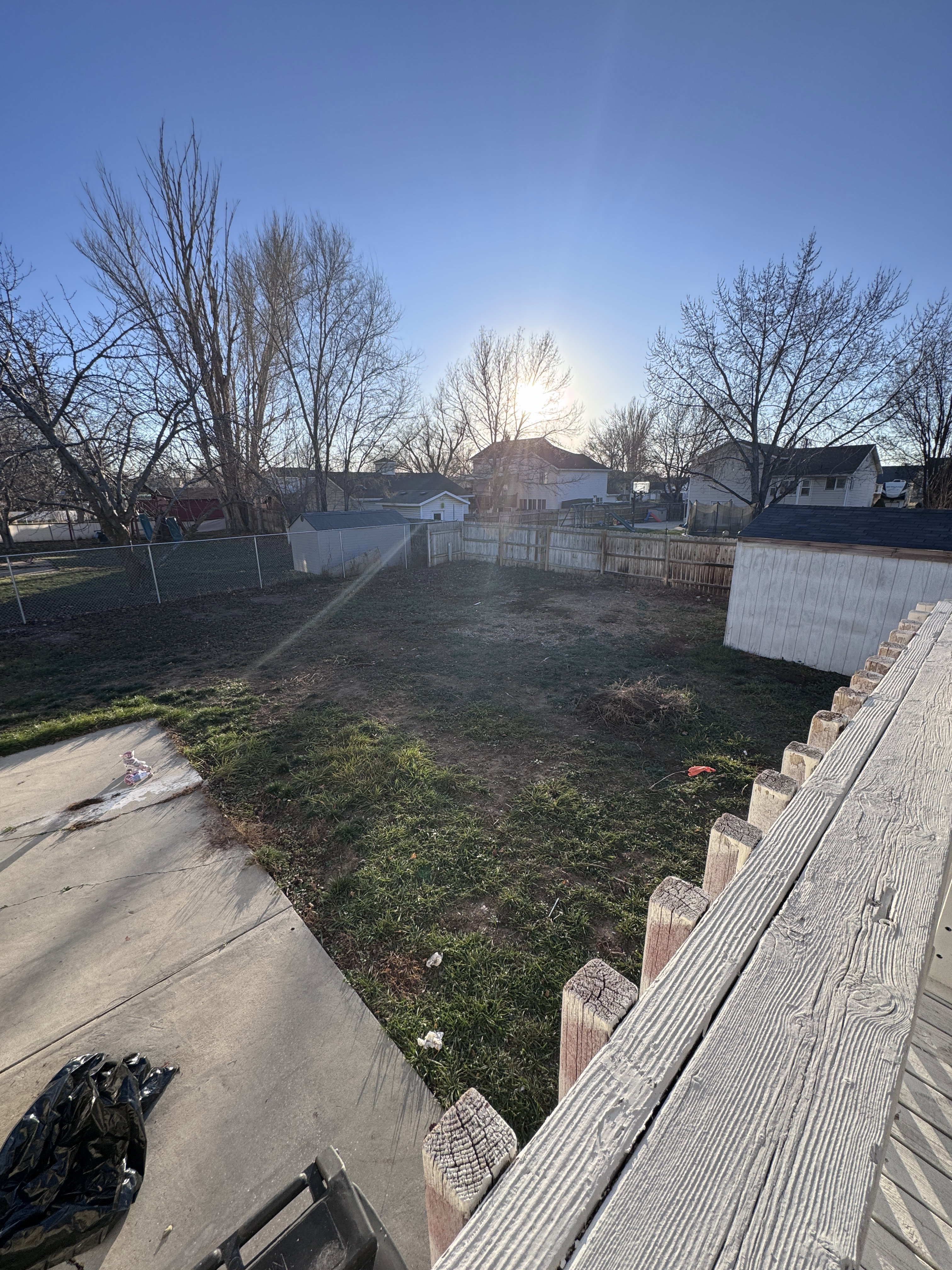View of yard