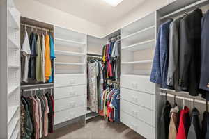 Walk in closet with carpet floors
