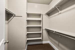 Walk in closet in main bedroom