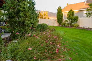 Summer view of yard featuring a mountain view