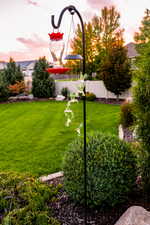 Summer view of yard at dusk