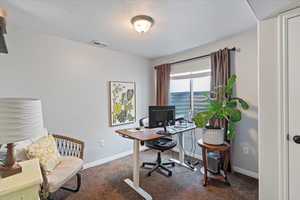 Home office featuring a textured ceiling and carpet