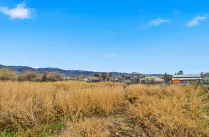 View of mountain background