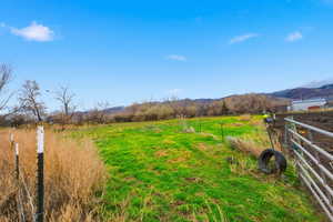 View of yard with a rural view and a mountain view