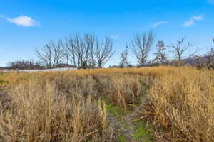 View of nature featuring rural landscape