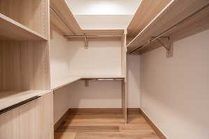 Spacious closet with light wood-type flooring