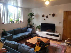 Living area featuring a ceiling fan and wood finished floors