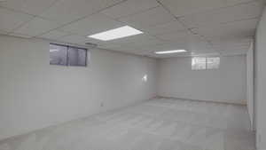 Basement family room