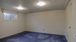 Basement bedroom