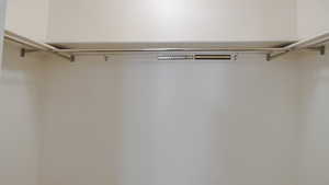 Primary closet, main floor