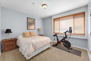 Bedroom with carpet floors