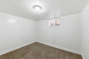Carpeted empty room with wooden walls